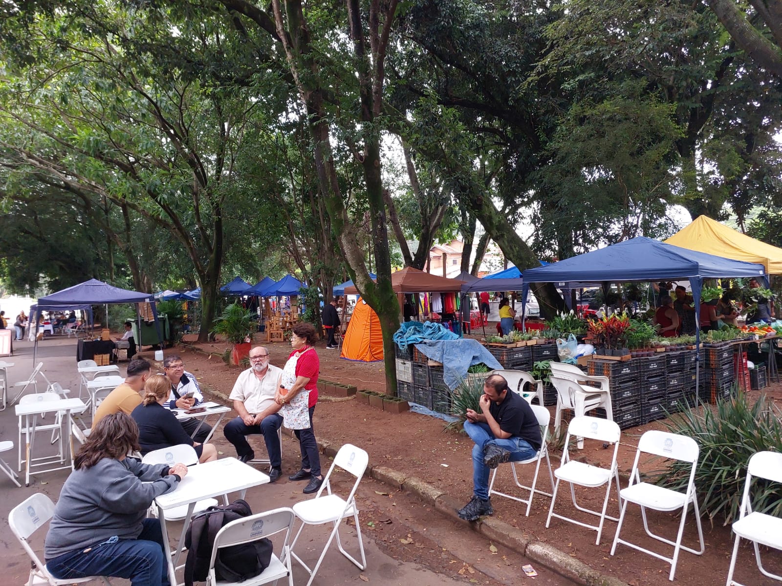 Festa do ‘Boi Falô’ e feira de artesãos movimentam Barão Geraldo no feriado