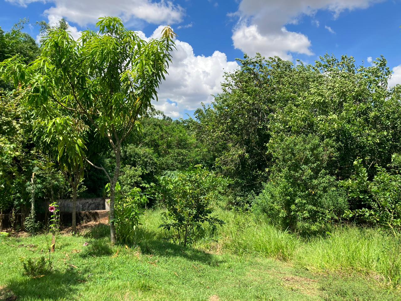 Mulher trans é encontrada morta em Piracicaba; suspeito é preso