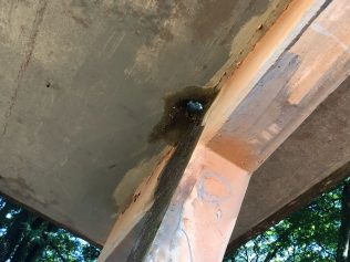 Ponto de ônibus é alvo de reclamação no bairro Chácara Gargantilha