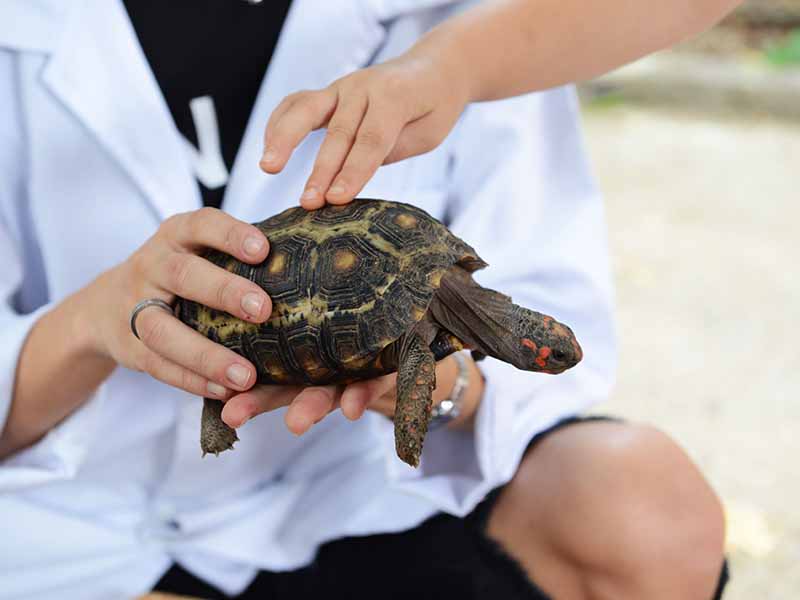 Programa Bosque Interativo retoma atividades em 2024; 1ª edição será neste sábado