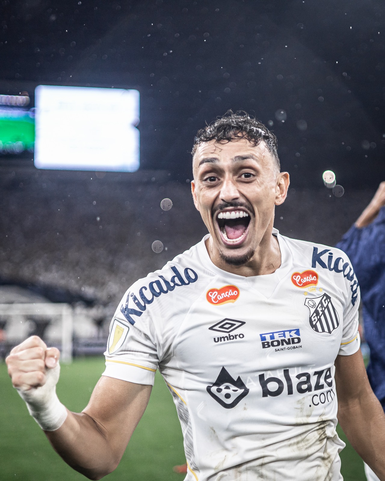 Técnico Fábio Carille fala em título após classificação do Santos