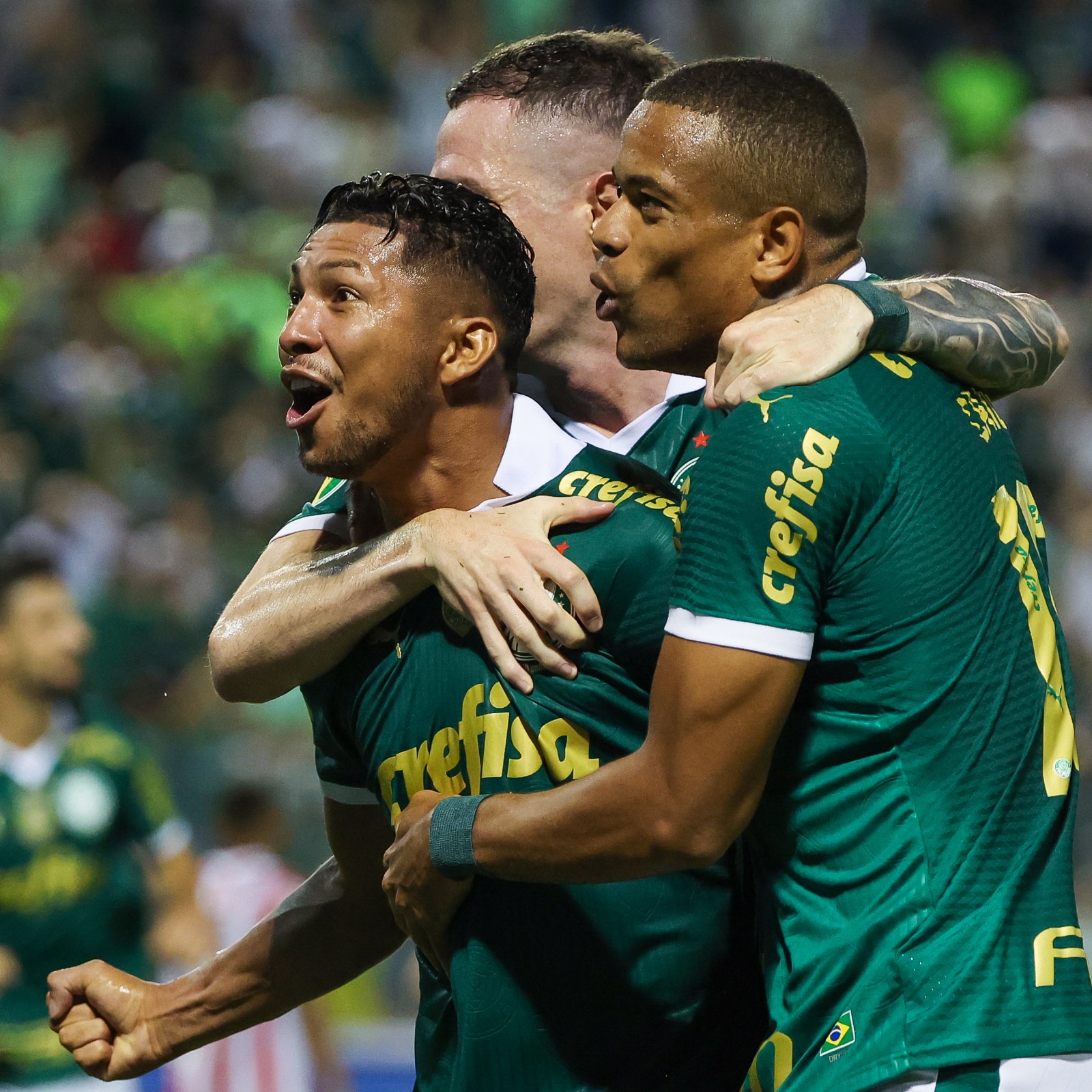Após título, Palmeiras reencontra a torcida pela Copa Libertadores
