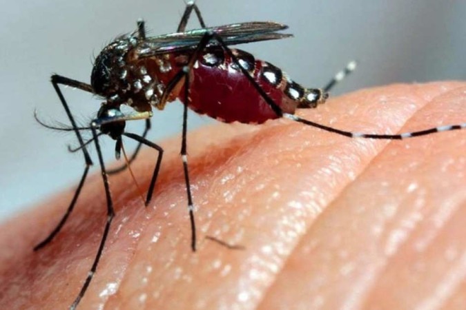 Com mais duas confirmações, Campinas chega a 37 mortes por dengue