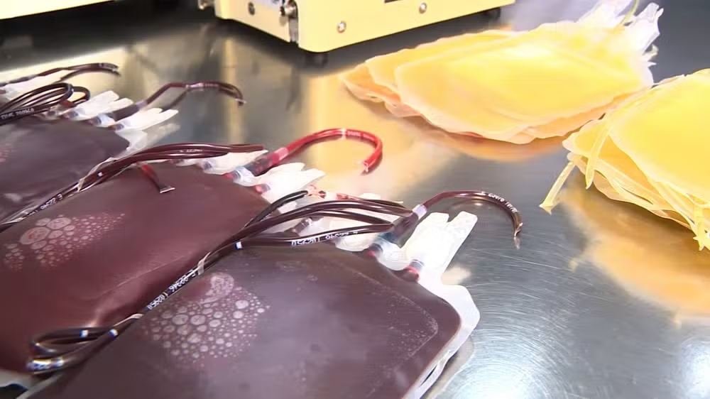 Diagnóstico de dengue pode adiar até 6 meses doações de sangue; Hemocentro registra queda