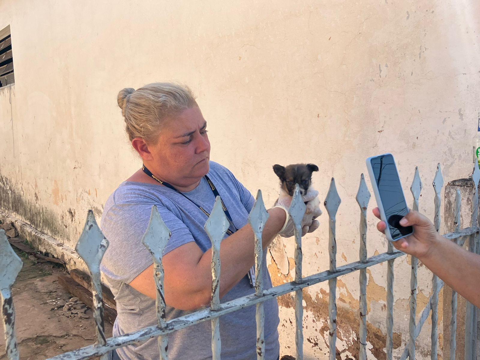 Cachorros são resgatados em situação de maus-tratos em Piracicaba