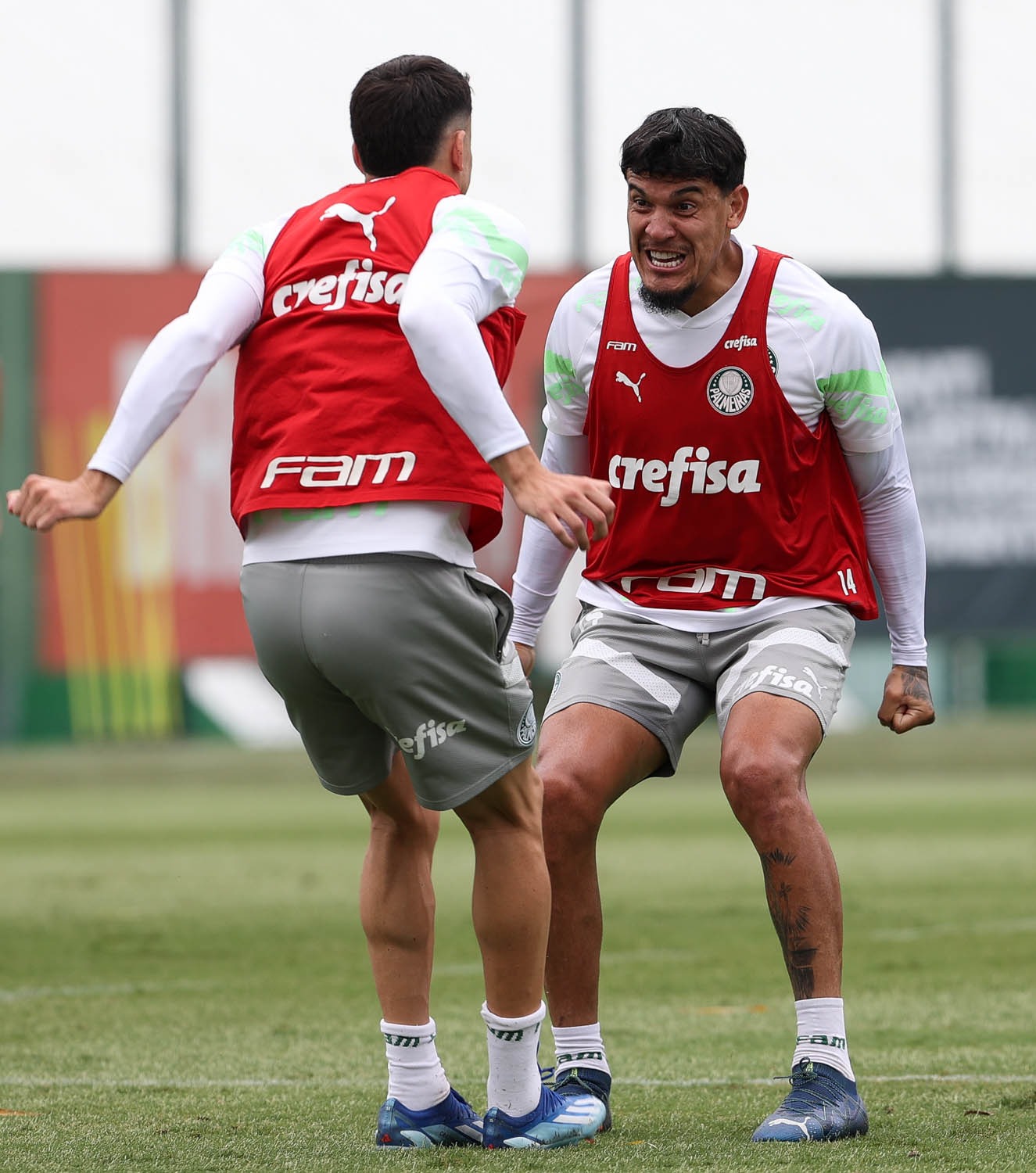 Pensando no Paulistão, Palmeiras estreia na Copa Libertadores com time misto
