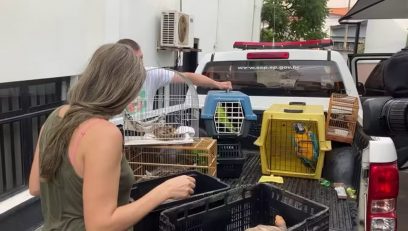 Homem que atuava em clínica veterinária interditada não tinha registro de médico veterinário