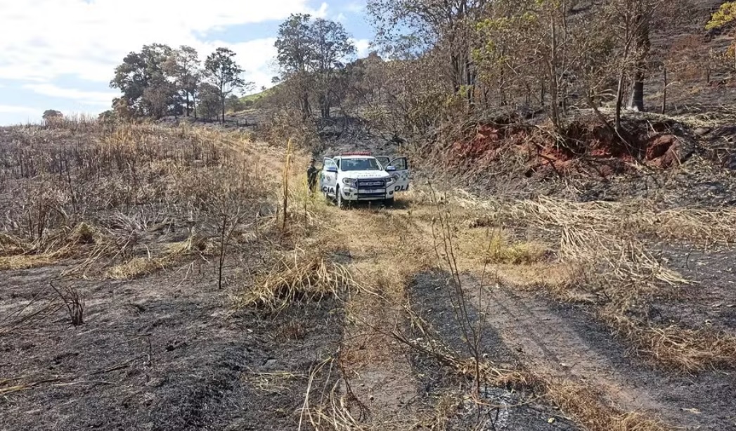 Mais de 140 hectares de área de preservação são queimados em Piracicaba