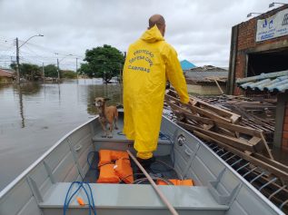 Voluntários de Campinas ajudam no resgate de pessoas e animais no Rio Grande do Sul