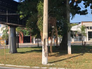 Estrutura danificada de poste gera insegurança na região do Taquaral