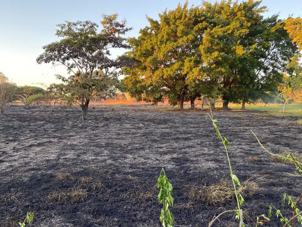 Fogo atinge área da Universidade Metodista de Piracicaba