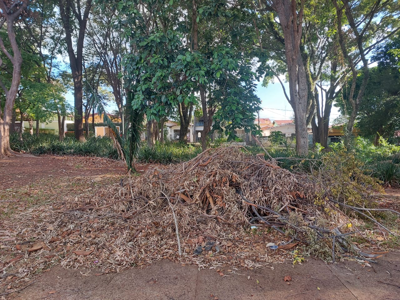 Moradores reclamam de falta de manutenção em praça no Jardim Flamboyant