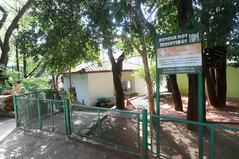 Campinas cria pontos de coleta para receber morcegos sem vida