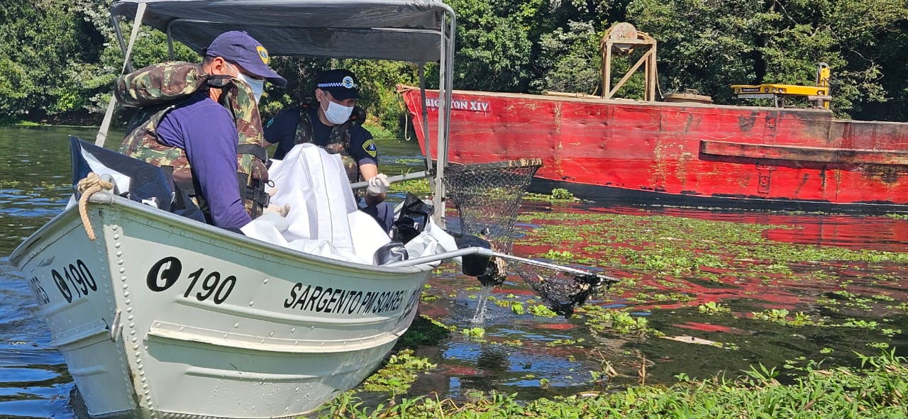 100 toneladas de peixes mortos já foram retiradas de Tanquã; limpeza continua