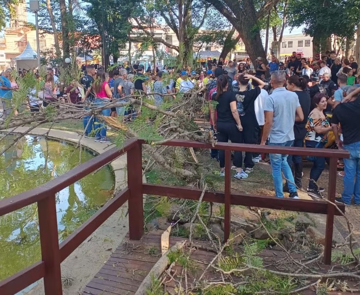 Dois ficam feridos após árvore cair durante evento de carros antigos em Capivari