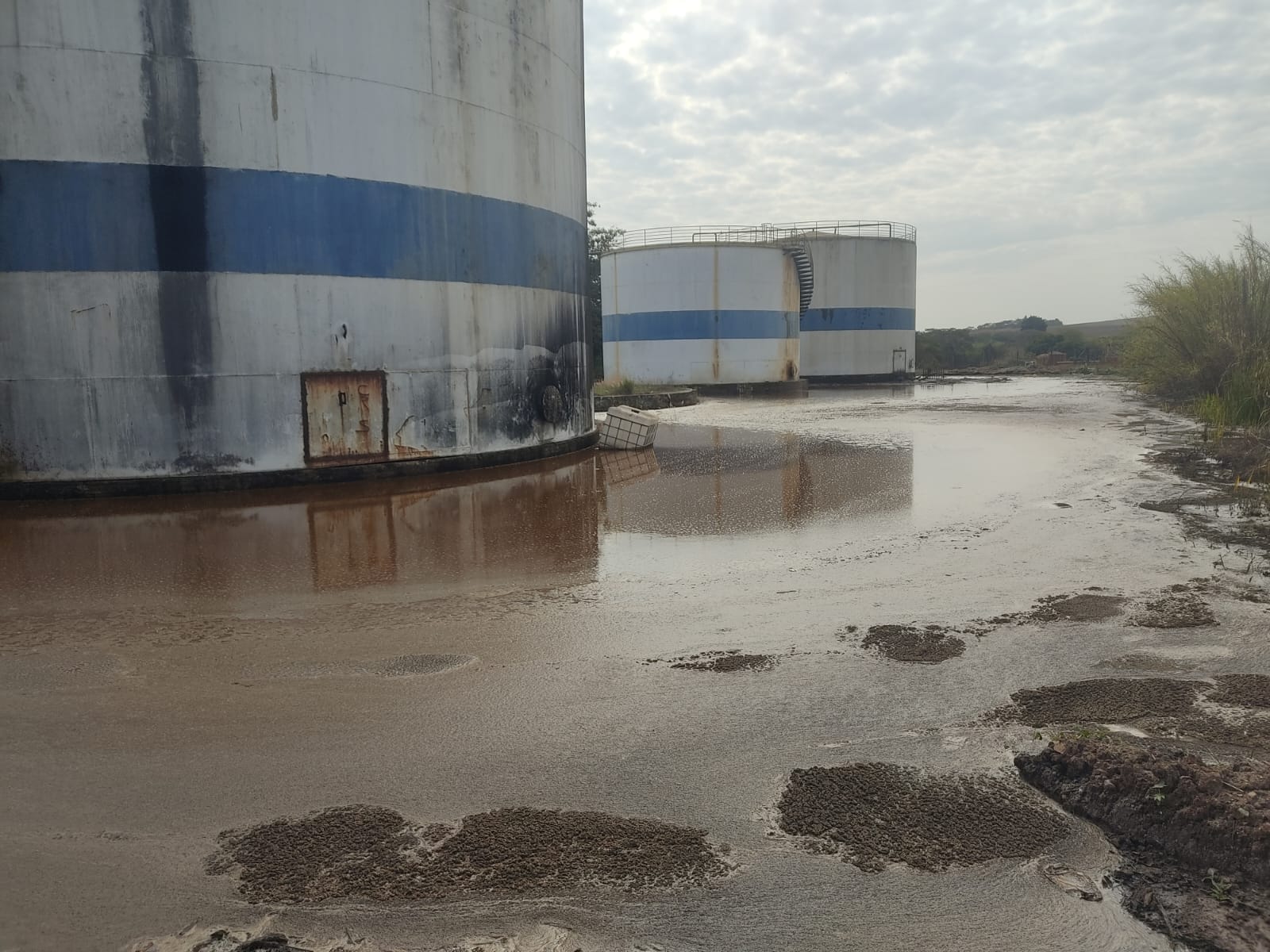 Empresa é multada em R$ 18 milhões por vazamento de melaço de cana no Rio Piracicaba