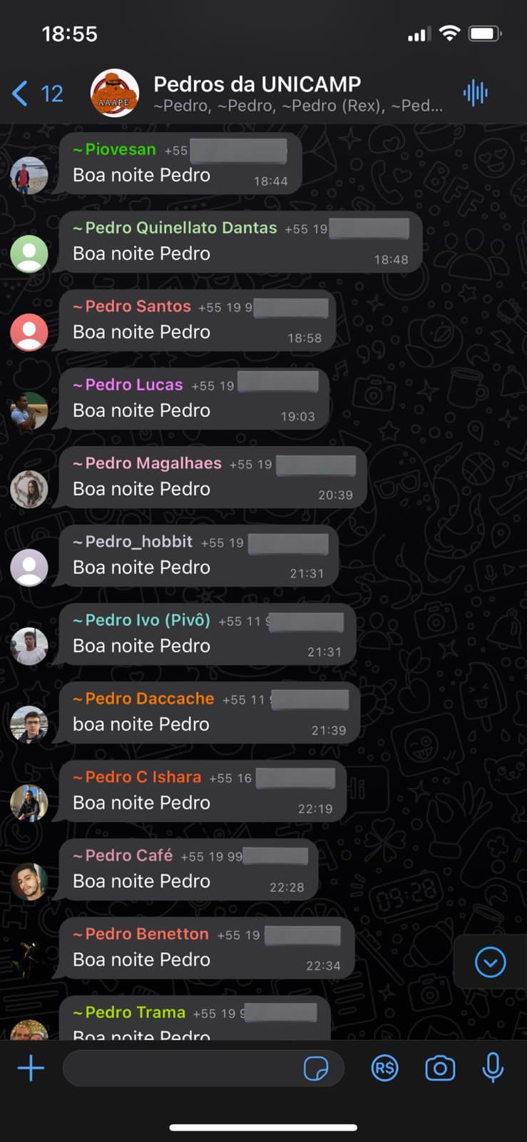 Estudantes da Unicamp com o mesmo nome montam grupo em app de mensagens e amizade viraliza