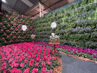 Exposição Nacional de Floristas atrai centenas de pessoas à Holambra