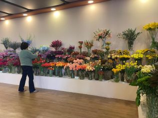 Exposição Nacional de Floristas atrai centenas de pessoas à Holambra