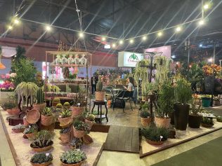 Exposição Nacional de Floristas atrai centenas de pessoas à Holambra