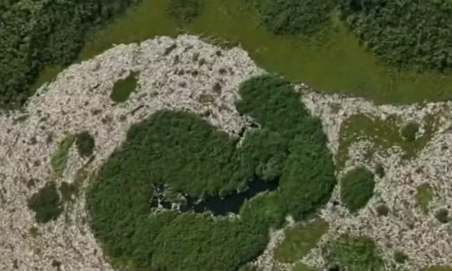 Ministério Público questiona governo federal sobre ajuda para pescadores do Tanquã