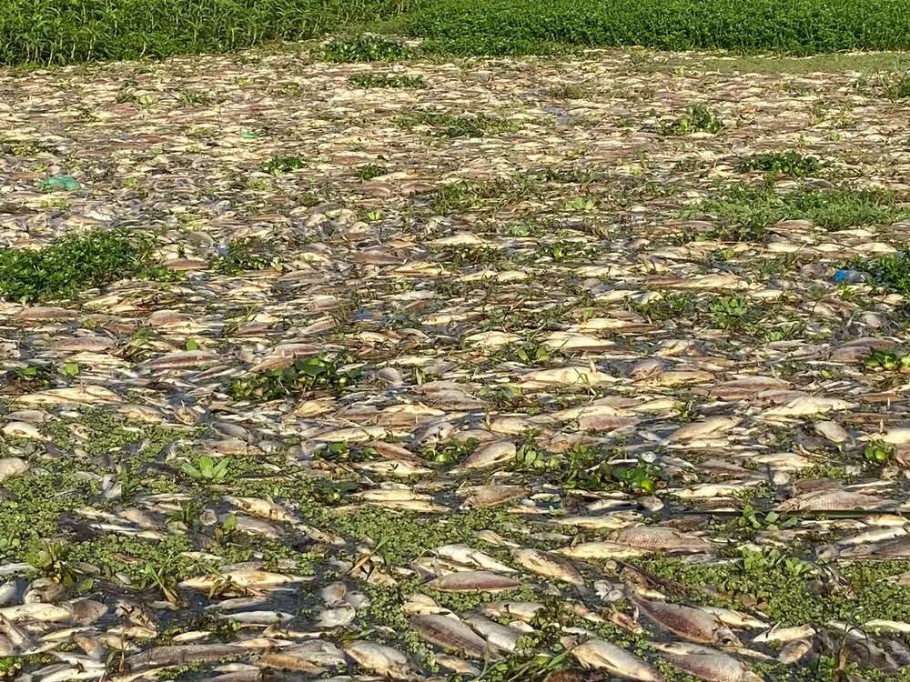 SP reduz taxa de juros de linha de crédito para pescadores do Tanquã