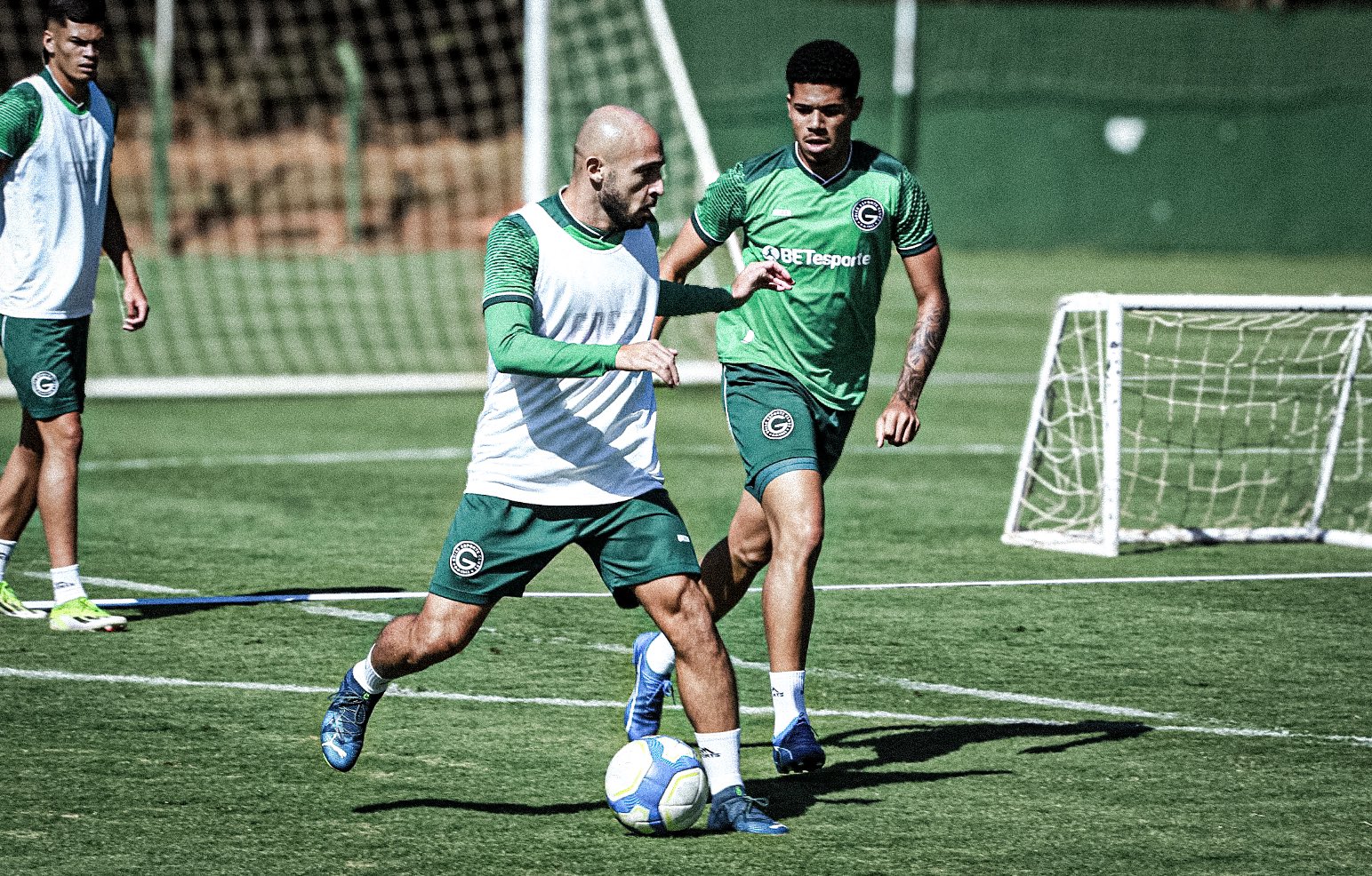 Retrospecto negativo coloca técnico Márcio Zanardi na berlinda contra o Guarani