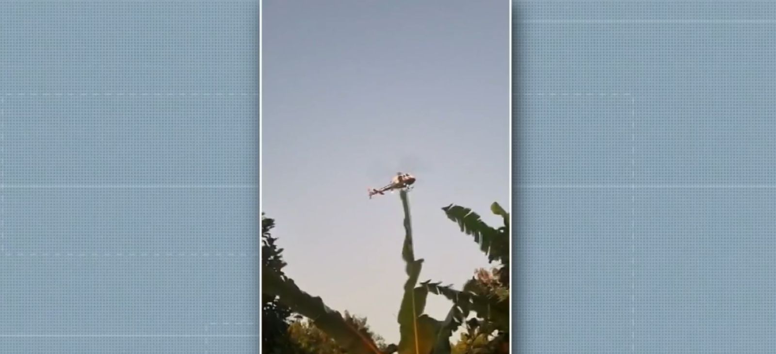 Meninos são resgatados em área de mata em Americana