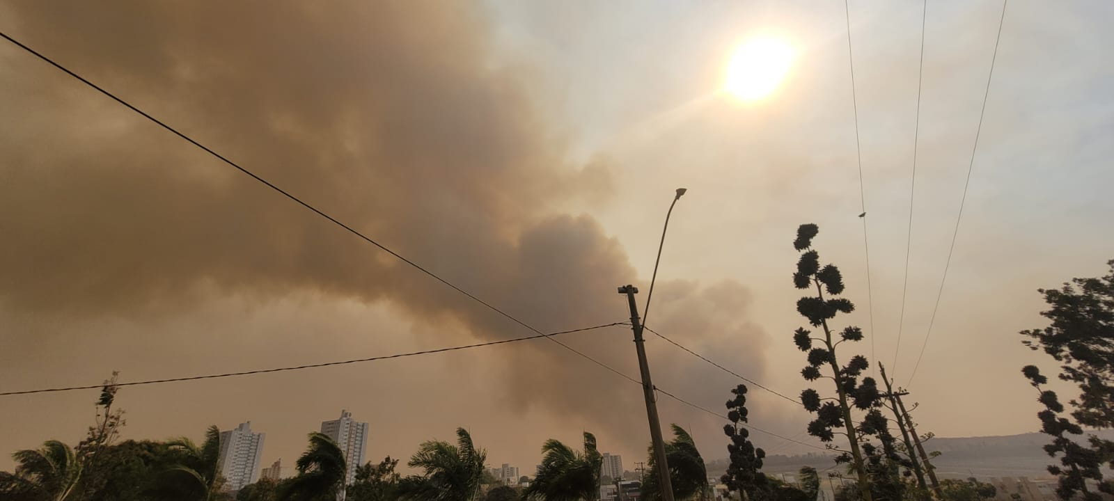 Polícia Federal abre inquéritos para apurar incêndios em São Paulo