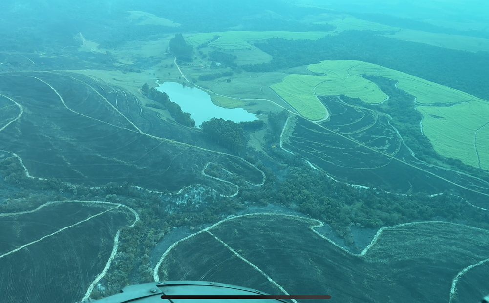 Governo de SP cria pacote de ações para auxiliar produtores rurais afetados pelos incêndios