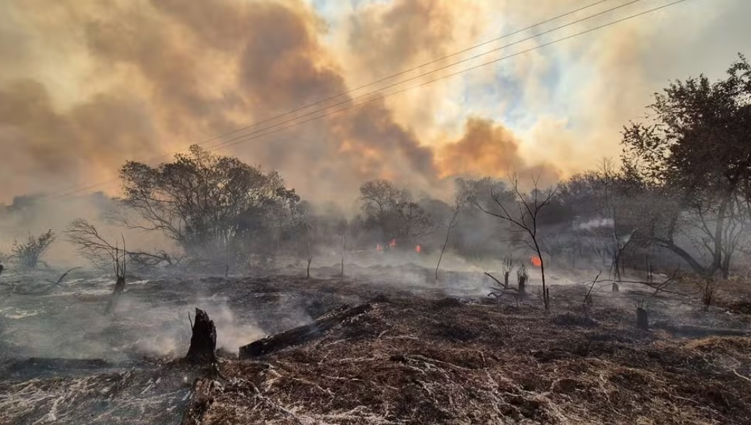 Ministério Público instaura procedimentos para apurar incêndios em Limeira e Iracemápolis