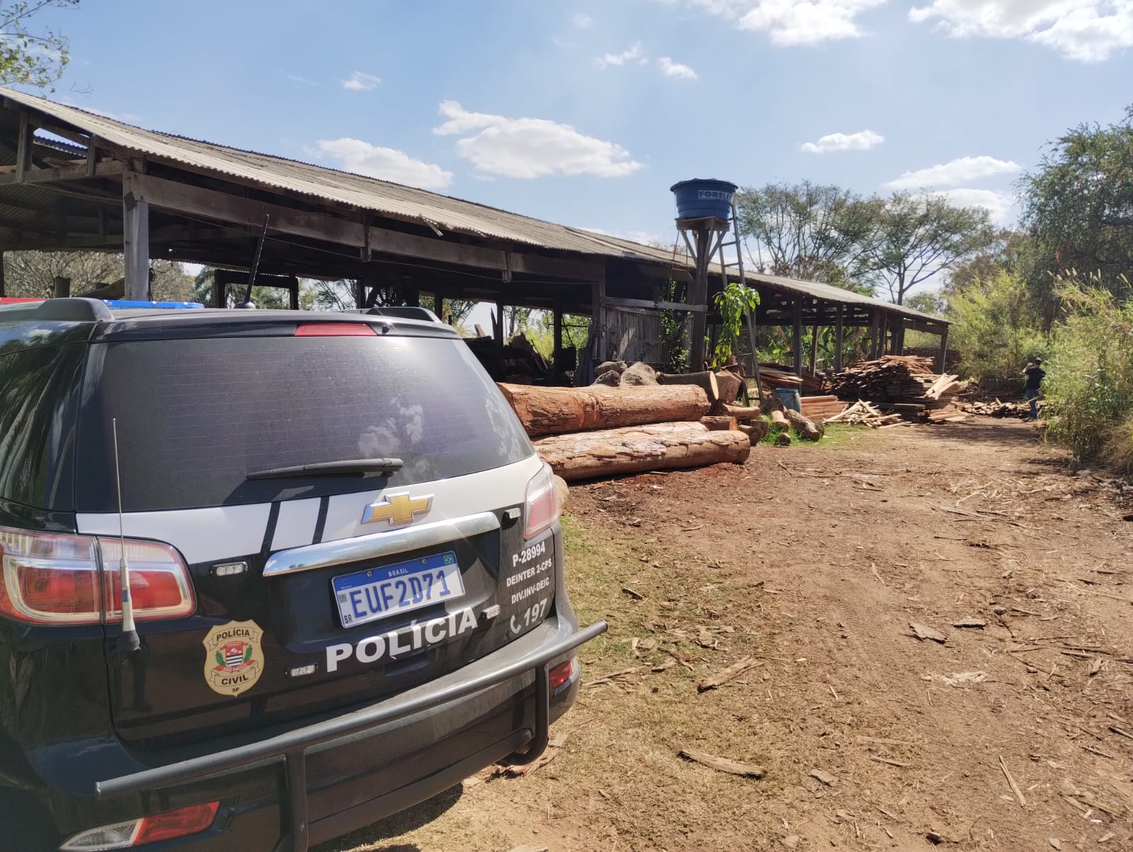 Ponto de extração ilegal de madeira é descoberto pela DIG de Campinas