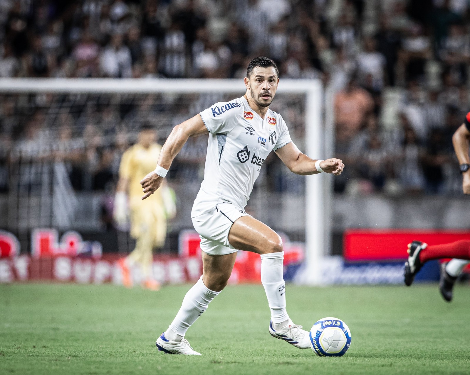 Santos conta com Carrasco Giuliano contra Ponte Preta