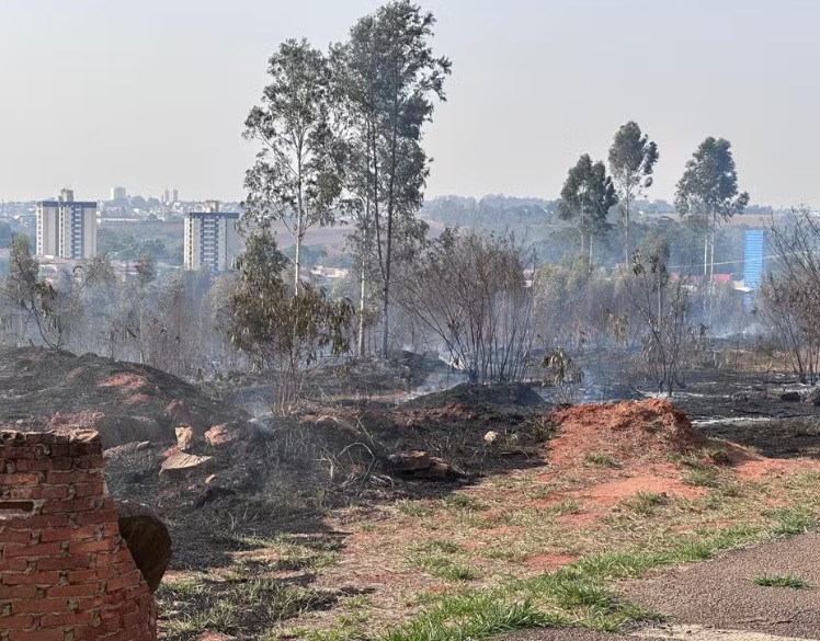 Área de vegetação é queimada em Nova Odessa; 80 mil m² foram danificados