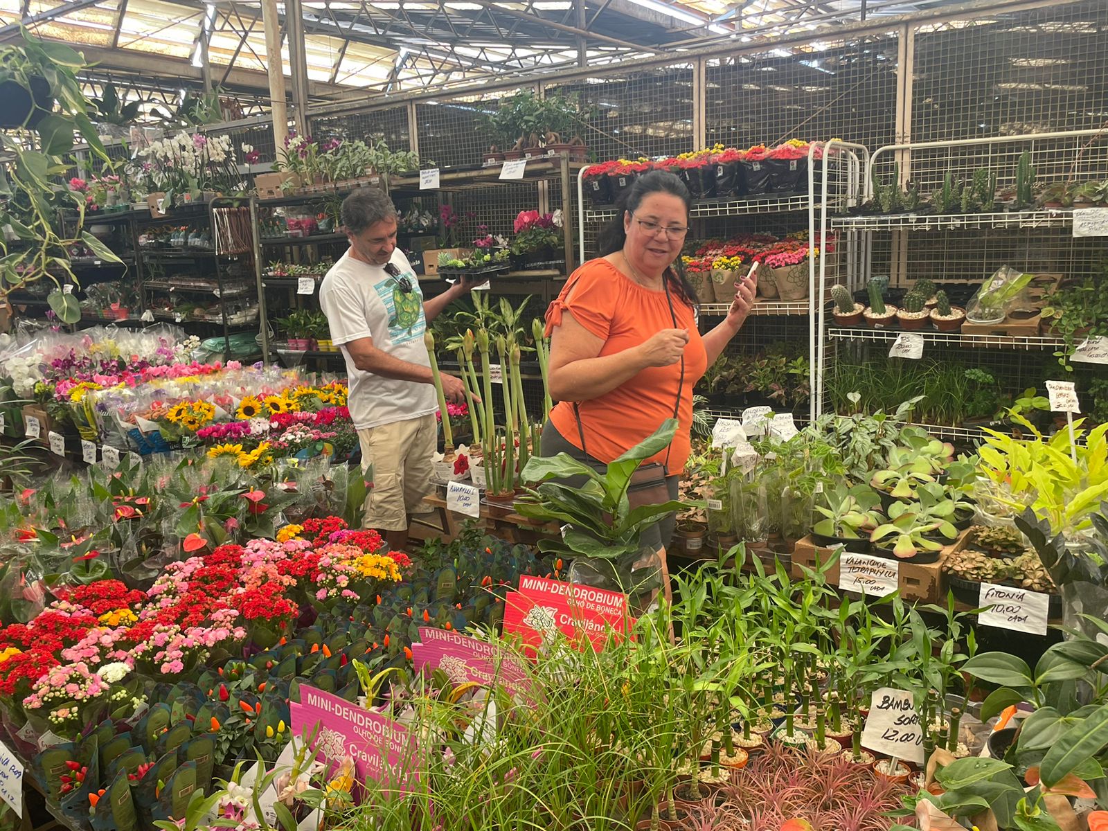 Ceasa de Campinas estima aumento de 30% na venda de flores no segundo semestre