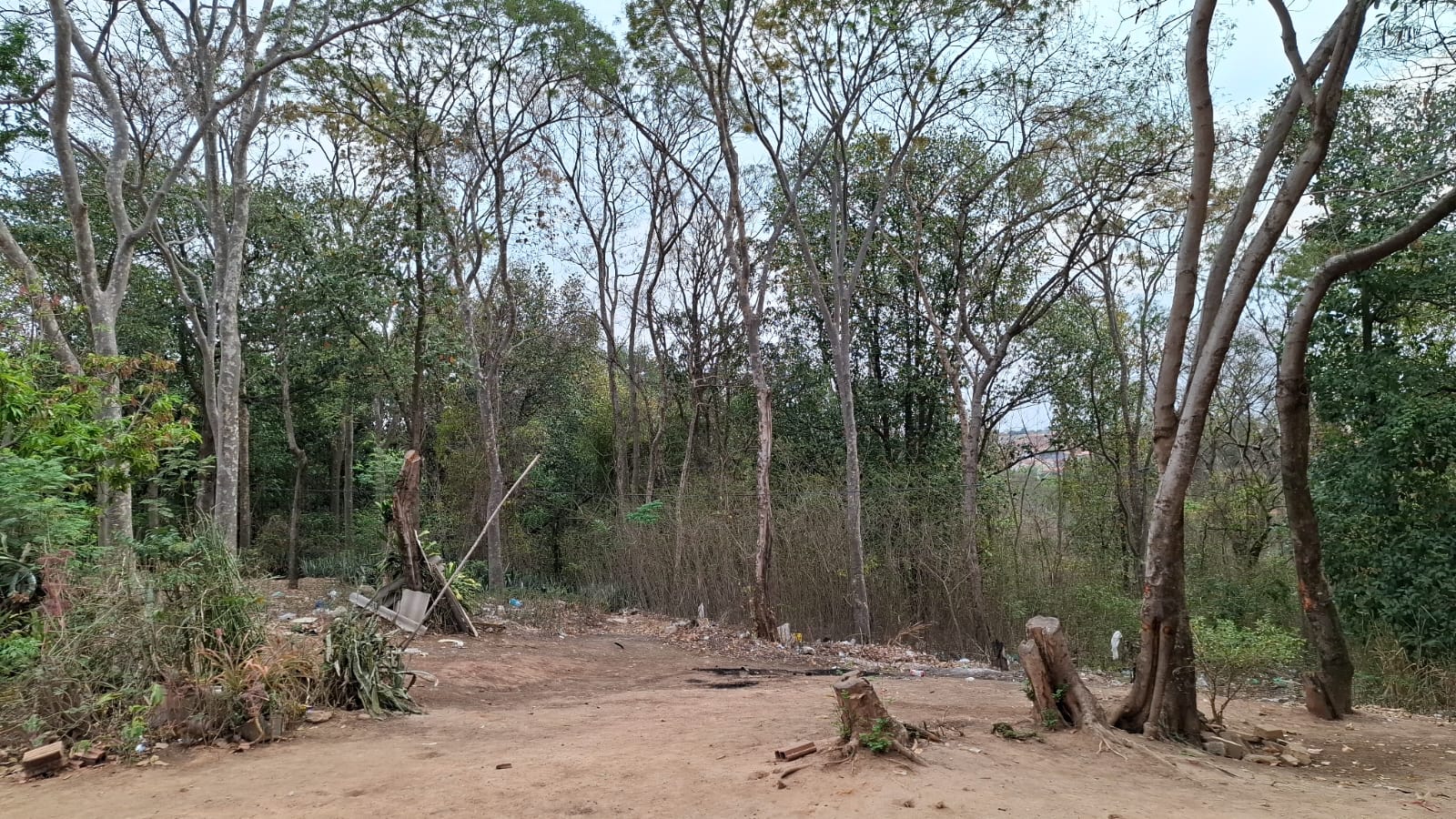 Homem morre ao tentar conter incêndio em mata em Limeira