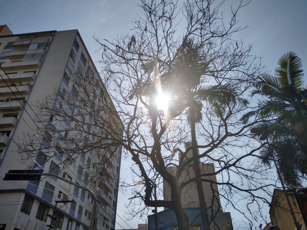 Primavera de 2024 será ainda mais quente na região de Campinas