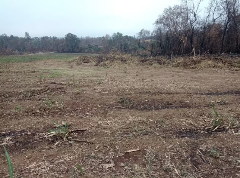 PM Ambiental aplica quase R$ 380 mil em multas por queimadas na região de Piracicaba