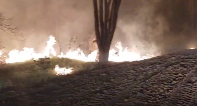 Região de Campinas está em alerta para risco de queimadas