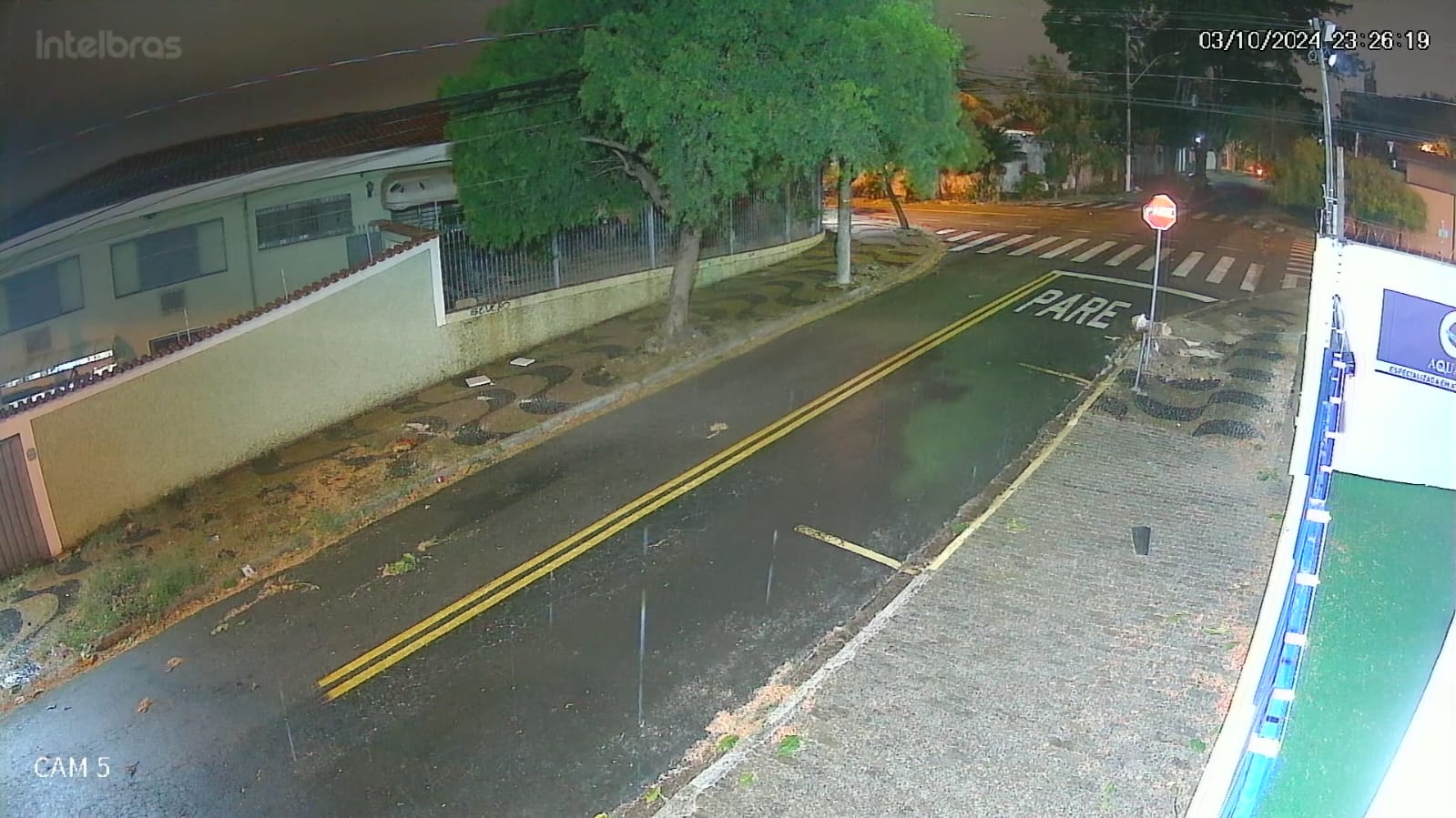 Árvore que atingiu menina tinha pedido de corte para Prefeitura aberto há dois anos