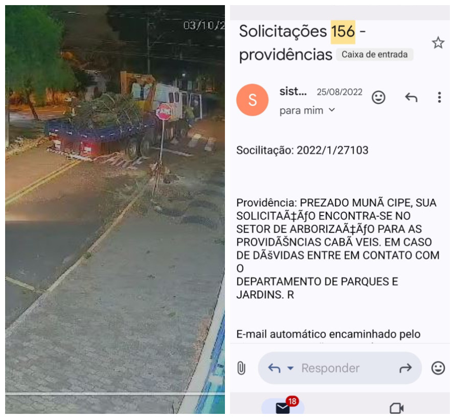 Árvore que atingiu menina tinha pedido de corte para Prefeitura aberto há dois anos