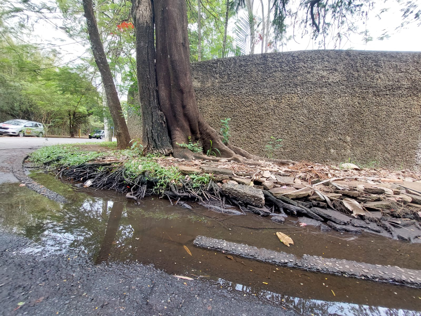 Falta de escoamento de água na Cid. Universitária causa alagamentos em rua e afeta pedestres