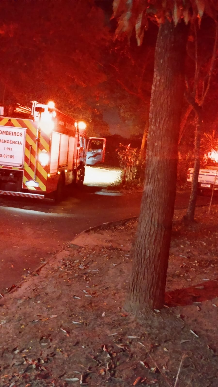 Incêndio no Bosque do Pq. Valença foi de pequenas proporções, diz prefeitura