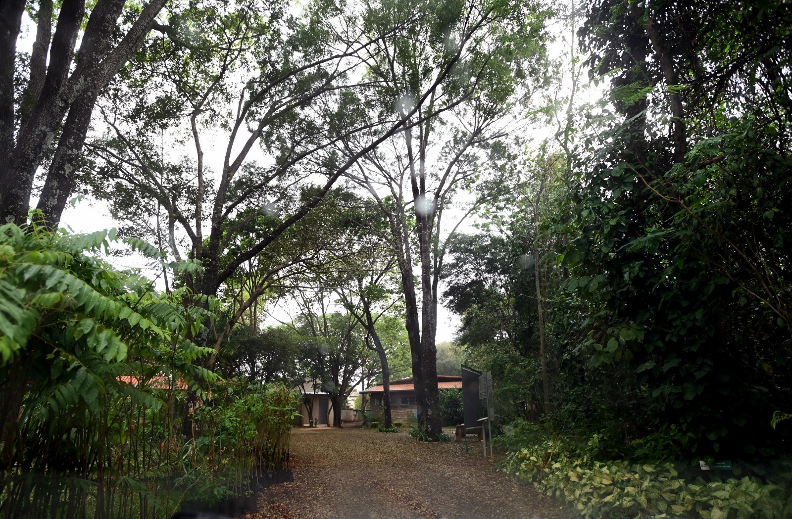 Mata de Santa Genebra é reaberta após fechamento por risco de incêndio