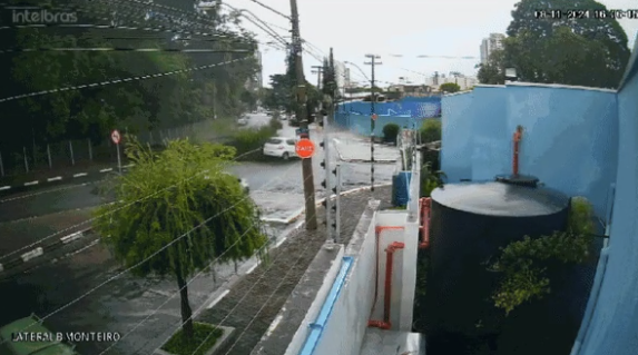 Carro escapa de ser atingido por galho de árvore no Jardim Guanabara