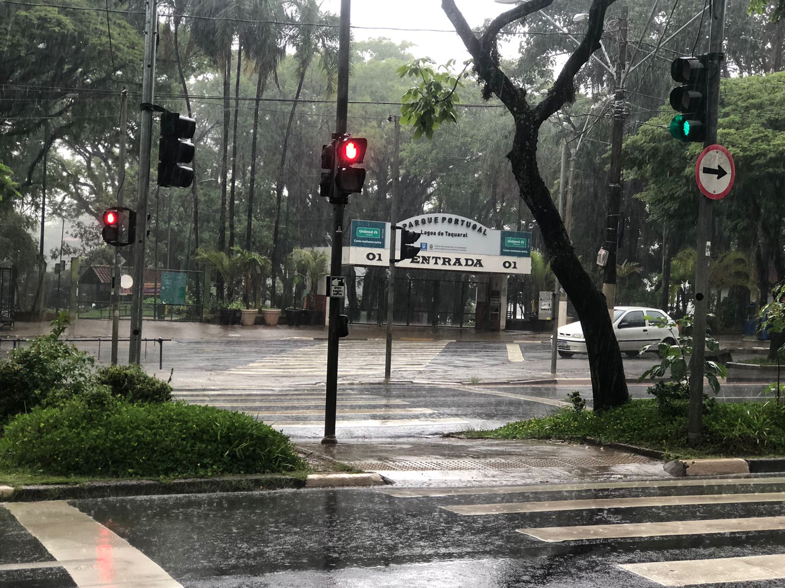 Sexta e sábado devem ser de chuva na região de Campinas; confira 