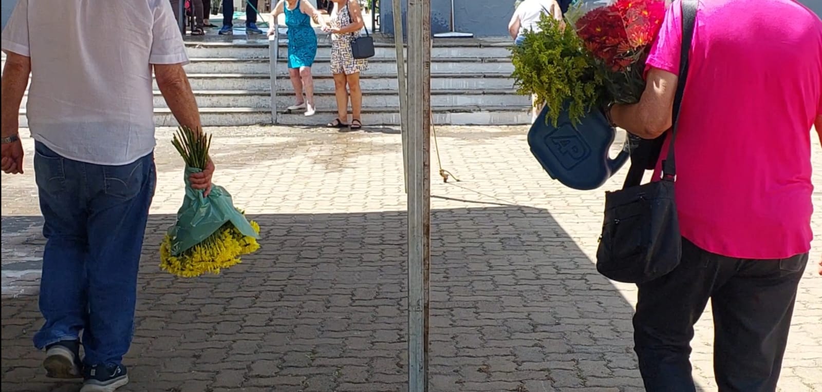 Dengue: população deve tomar cuidado durante visitas aos cemitérios em Finados