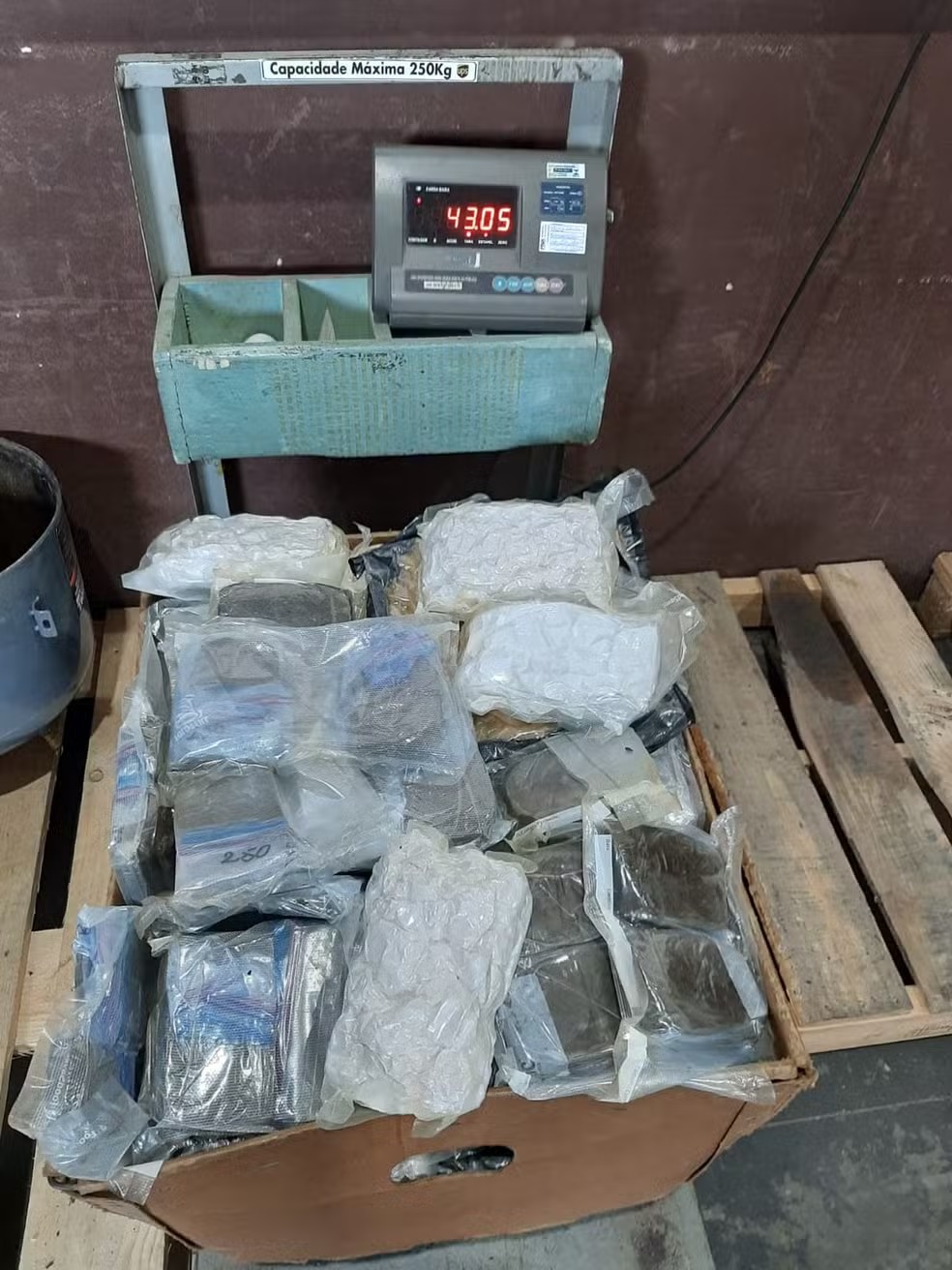 Carga de 43 kg de haxixe é apreendida após desembarque em Viracopos