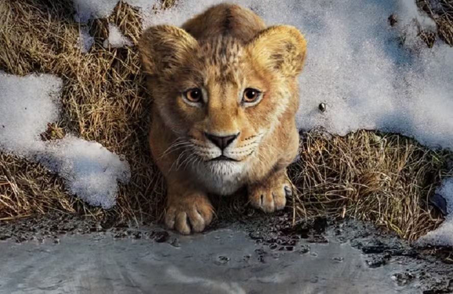 Mufasa: O Rei Leão é a estreia exclusiva nos cinemas da região