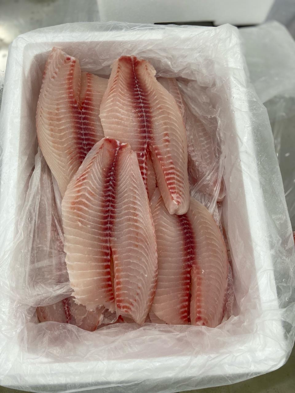 Viracopos passa a ser a principal via para exportação de pescados frescos para os EUA